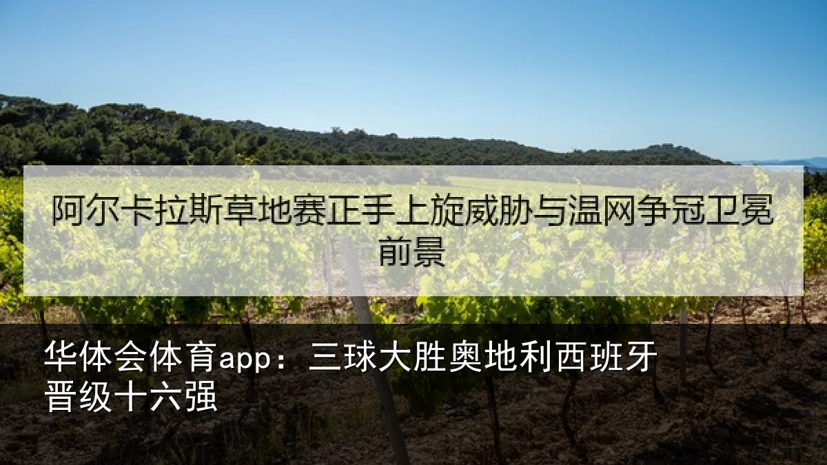 华体会体育app：三球大胜奥地利西班牙晋级十六强