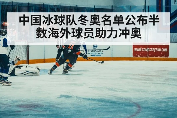 中国冰球队冬奥名单公布半数海外球员助力冲奥